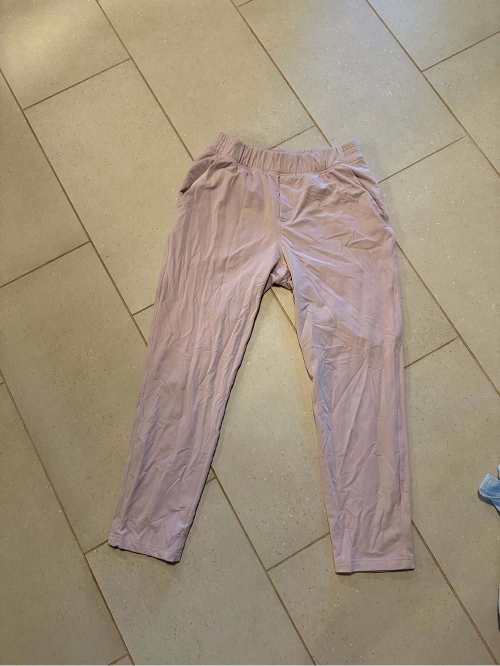 Aritzia Pants